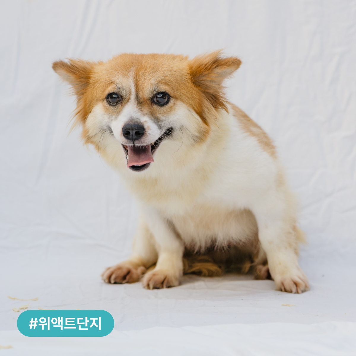 상세 사진 5