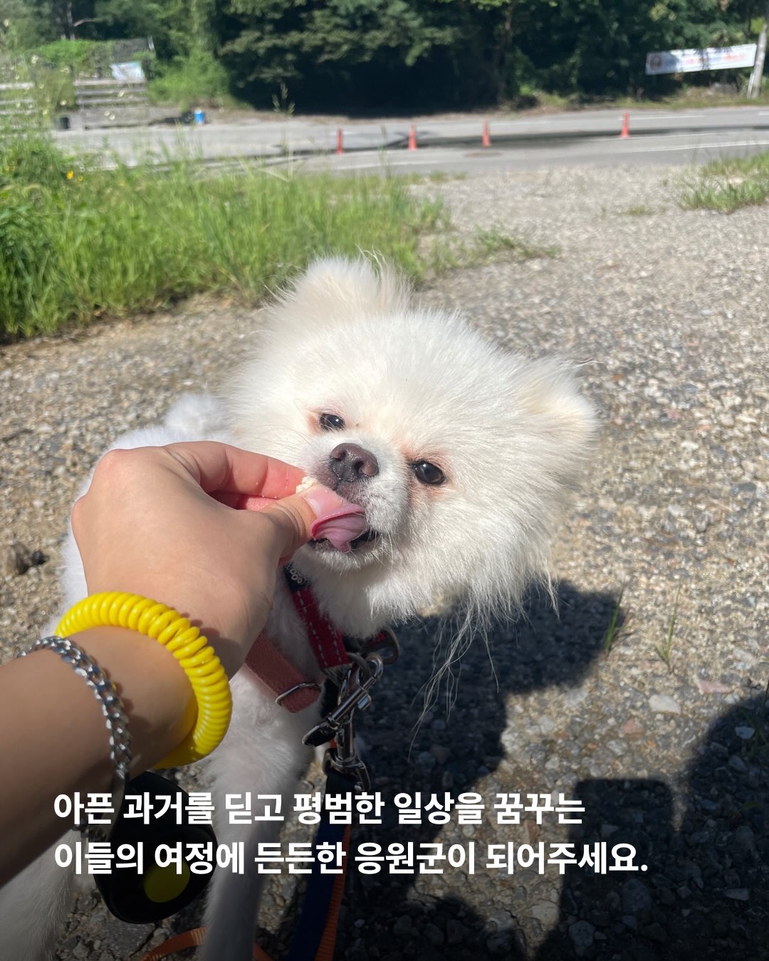 상세 사진 8