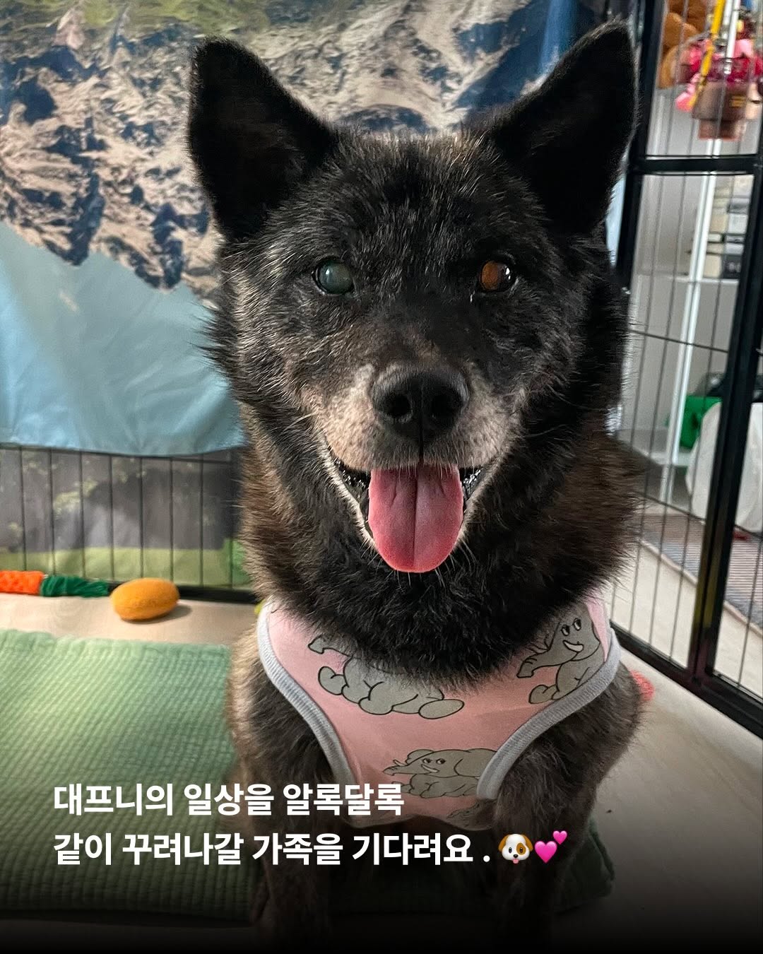 상세 사진 8