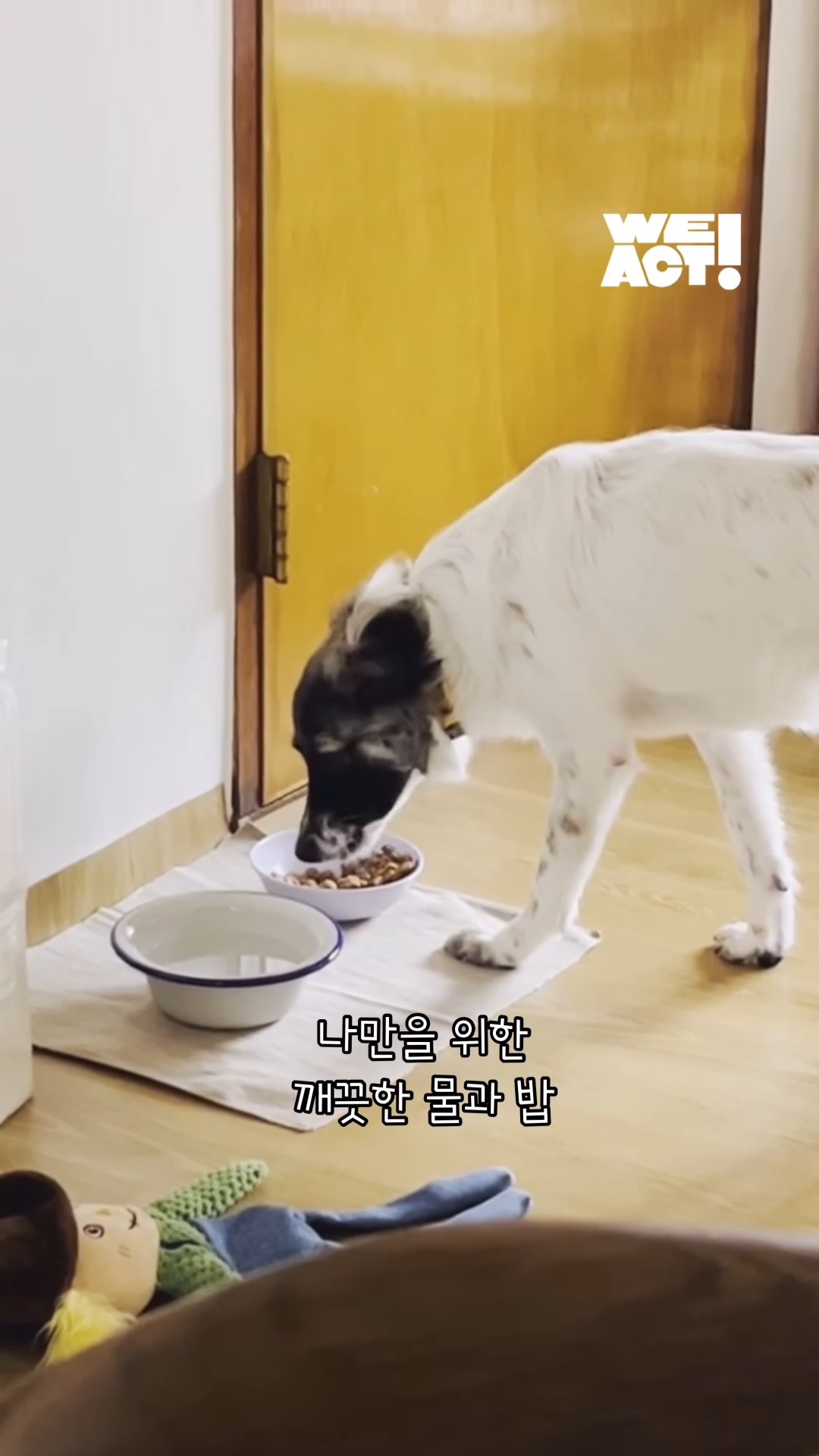 상세 사진 4