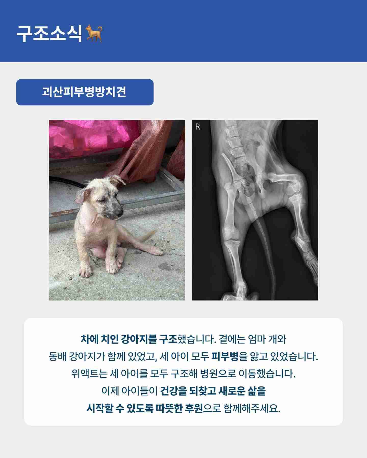 상세 사진 7