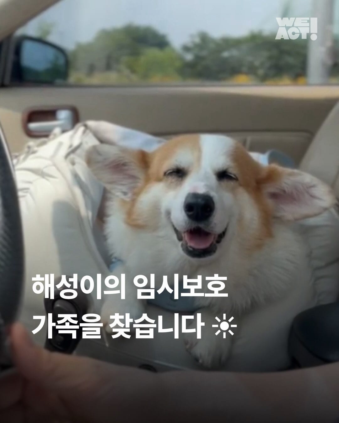 상세 사진 1