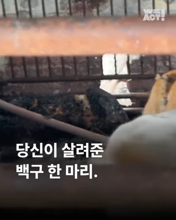 상세 사진 1