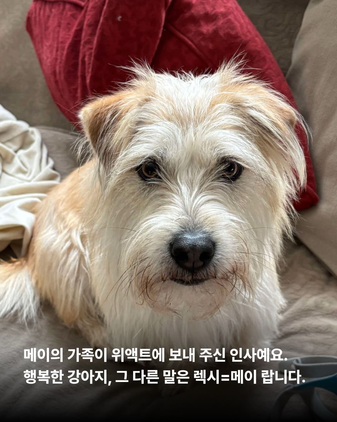 상세 사진 7