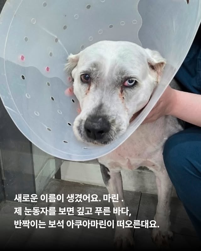 상세 사진 10