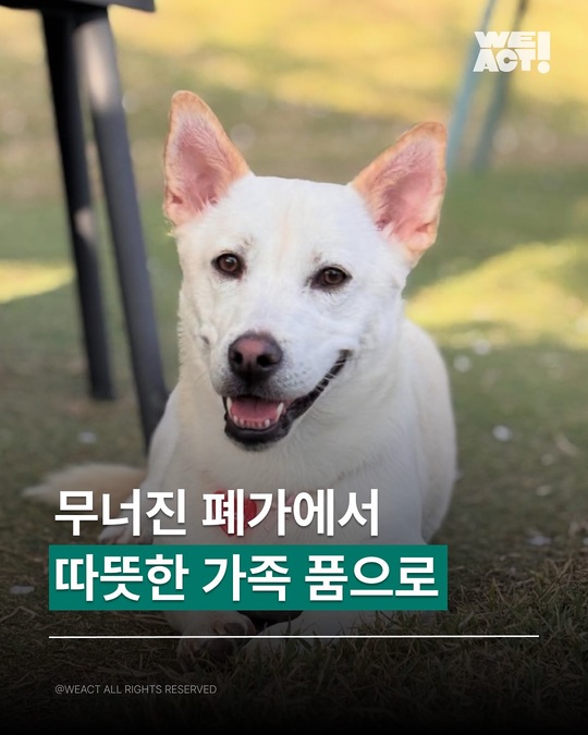상세 사진 1