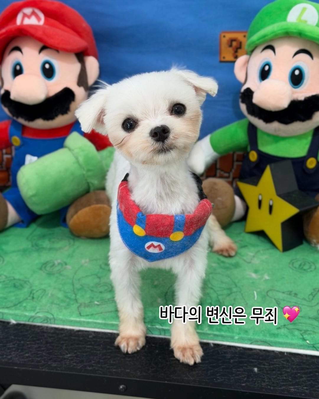 상세 사진 14
