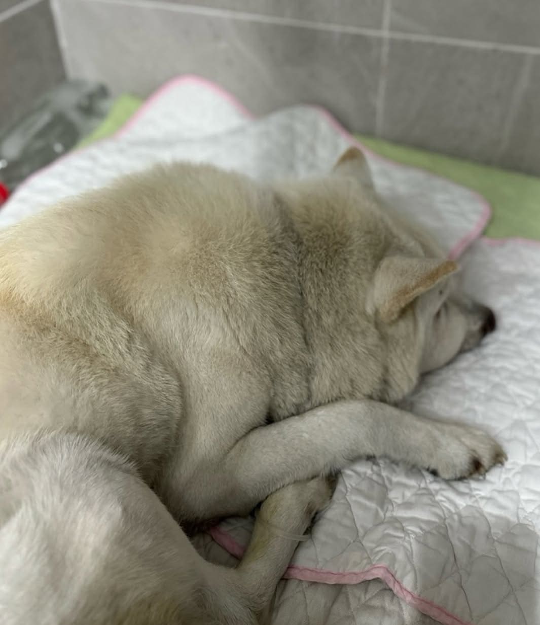 상세 사진 2