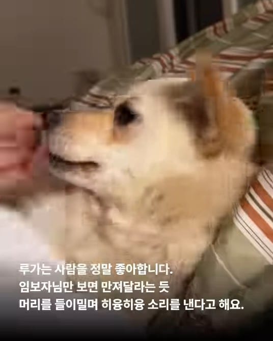상세 사진 5