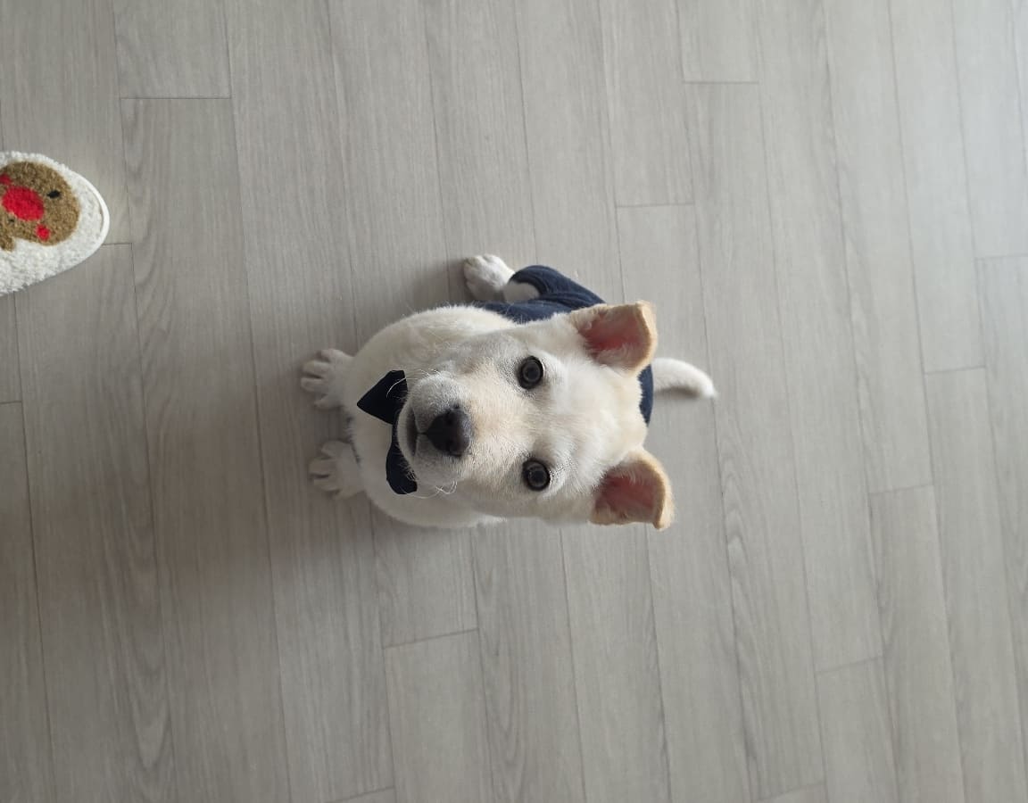 상세 사진 7