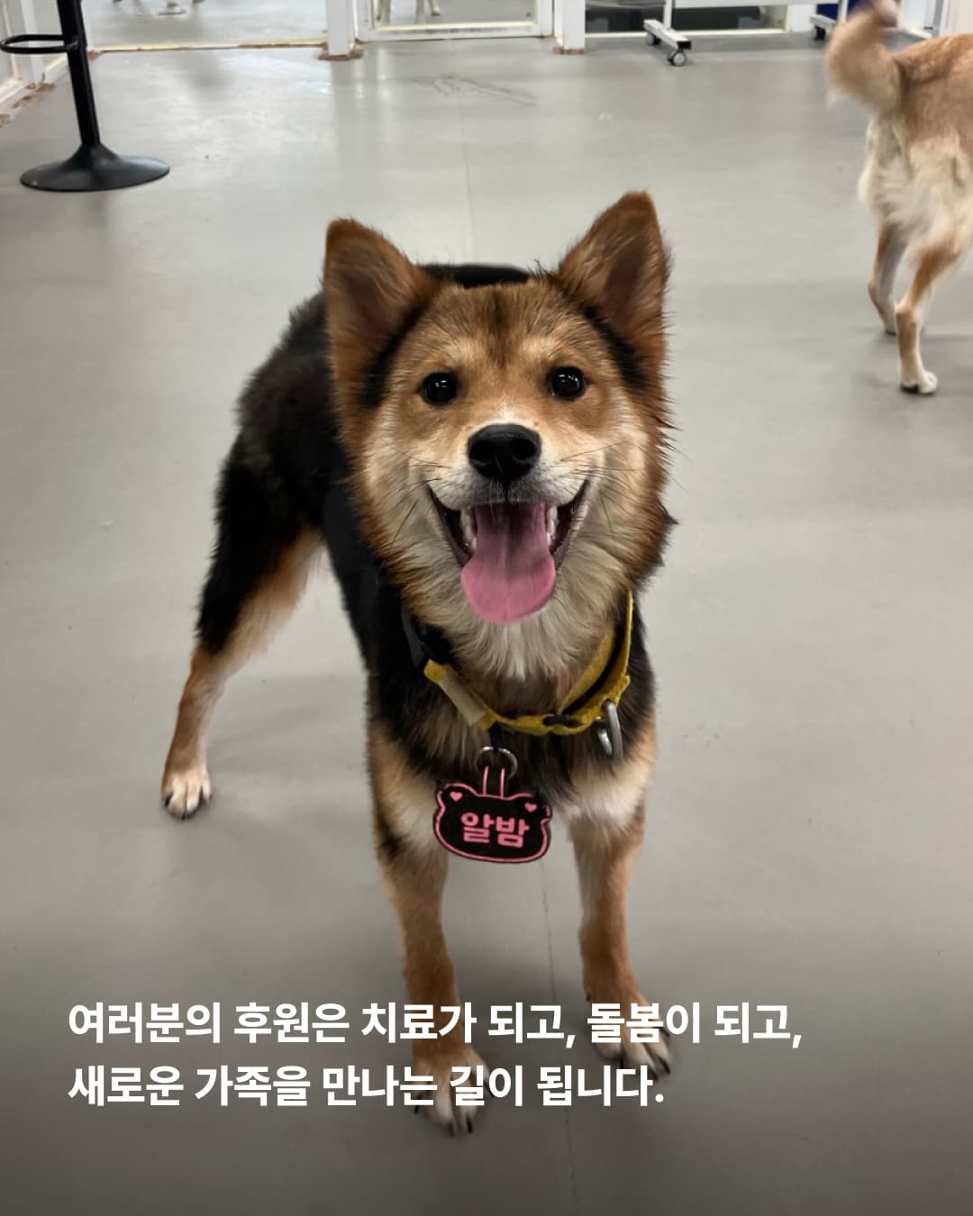상세 사진 8