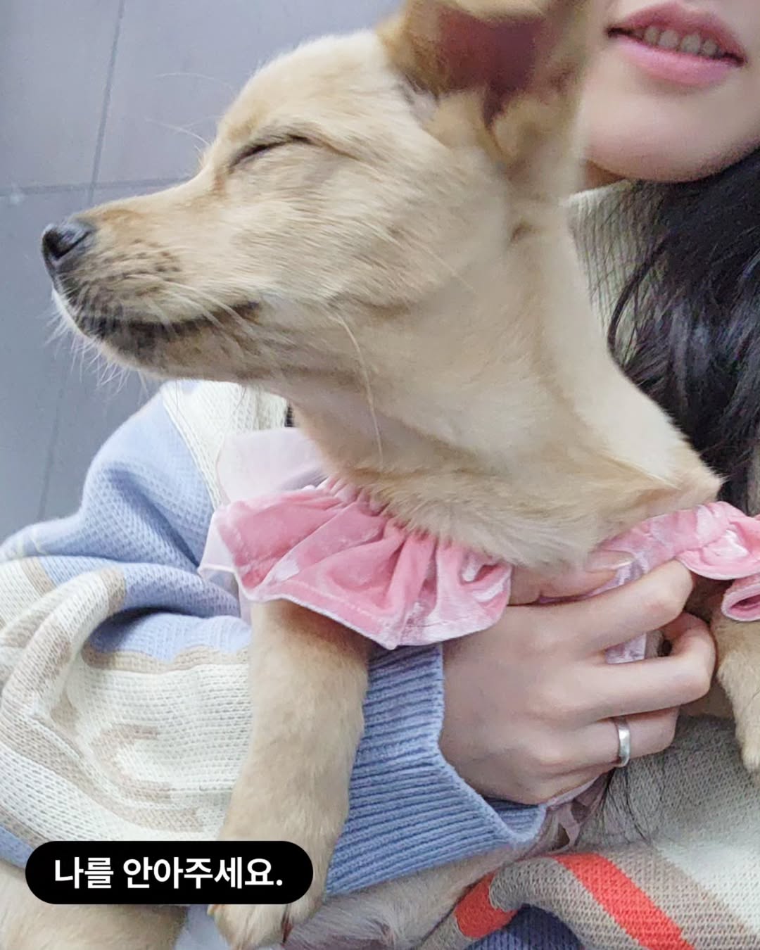 상세 사진 7