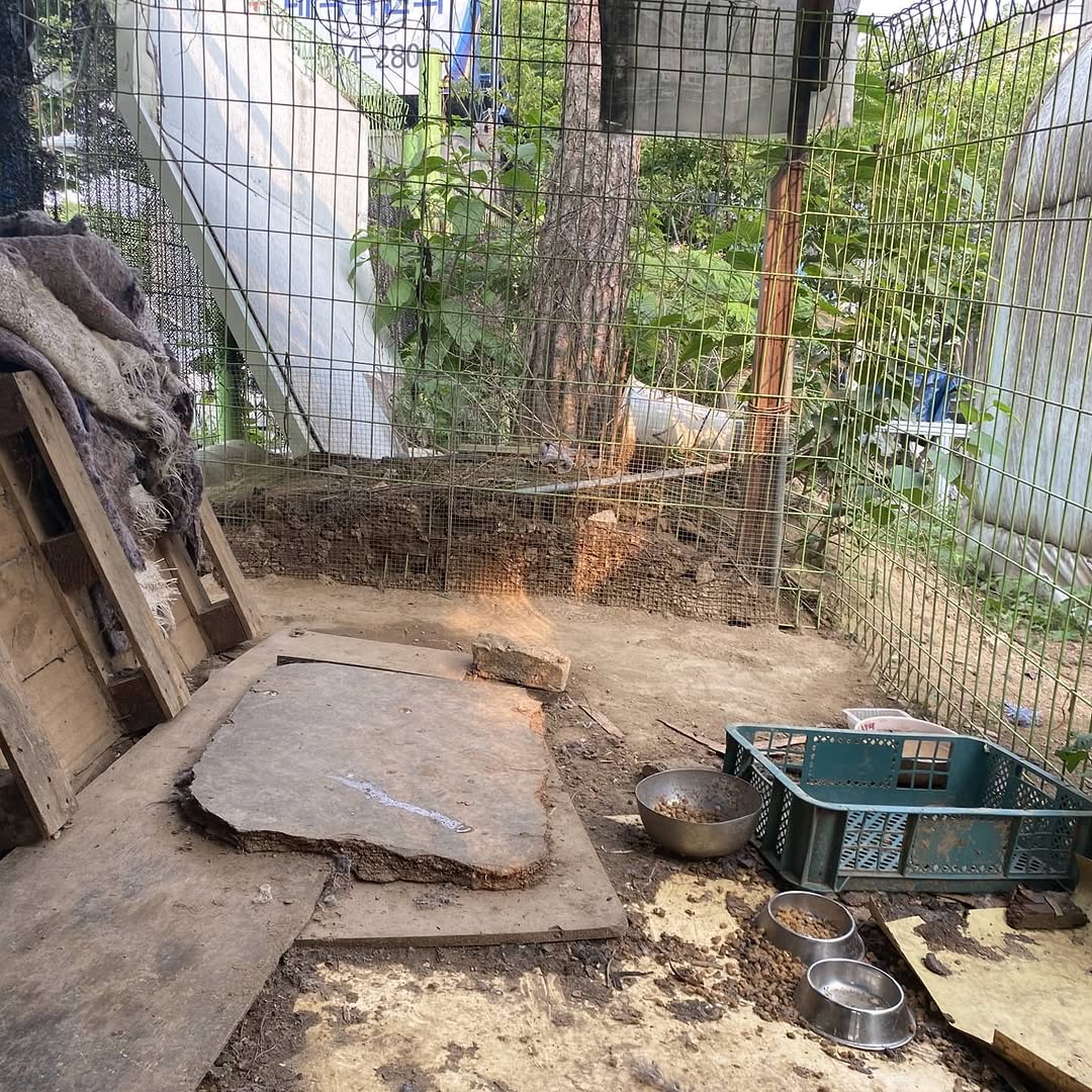 상세 사진 7