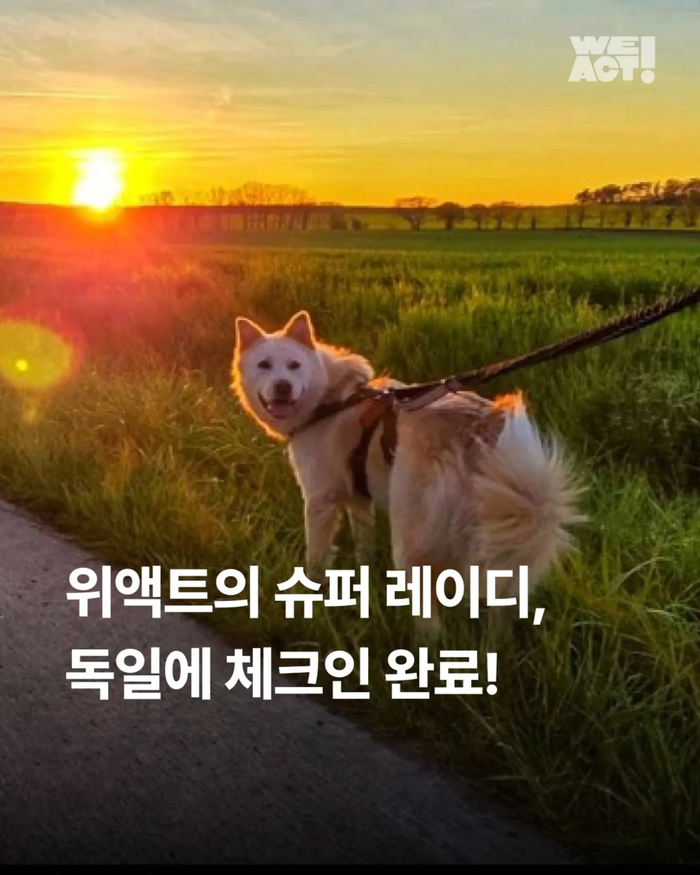 상세 사진 1