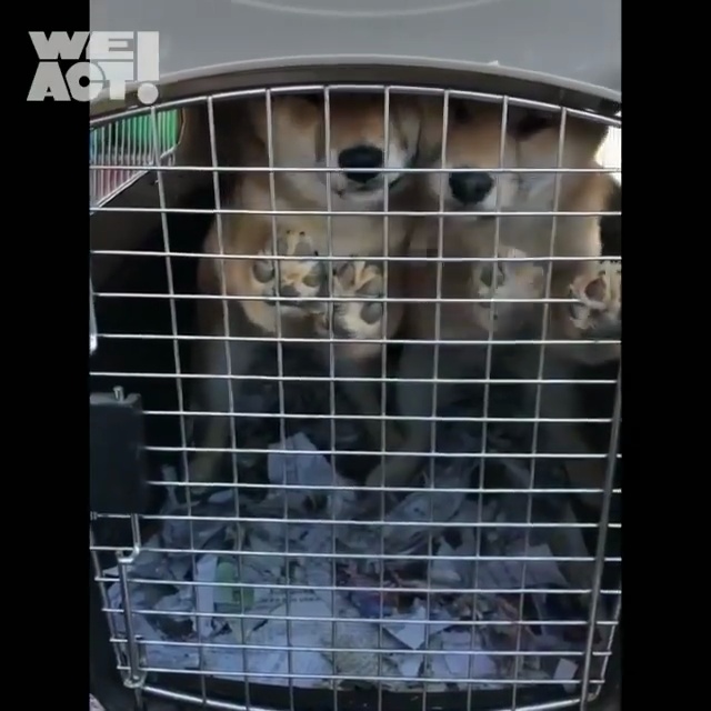 상세 사진 7
