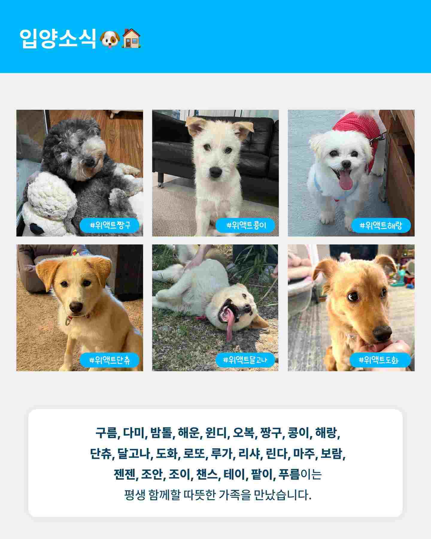 상세 사진 3