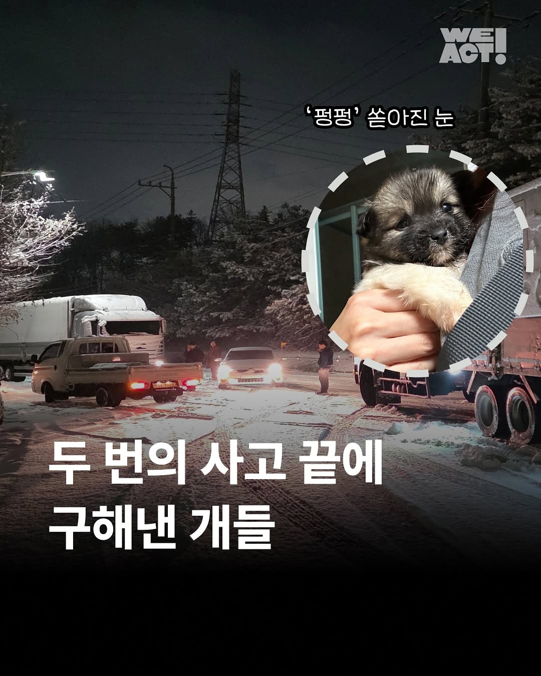 상세 사진 1