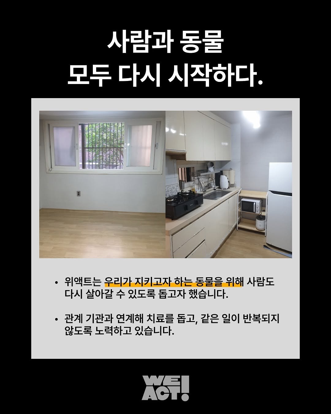 상세 사진 4