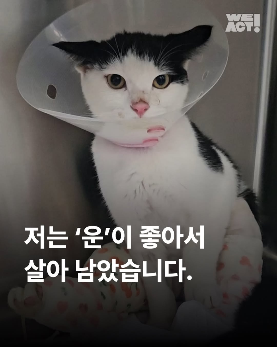 상세 사진 1