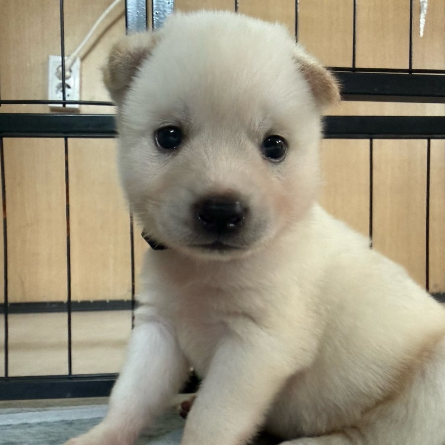 상세 사진 1