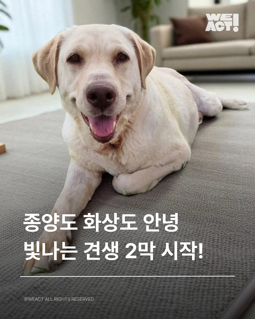 상세 사진 1