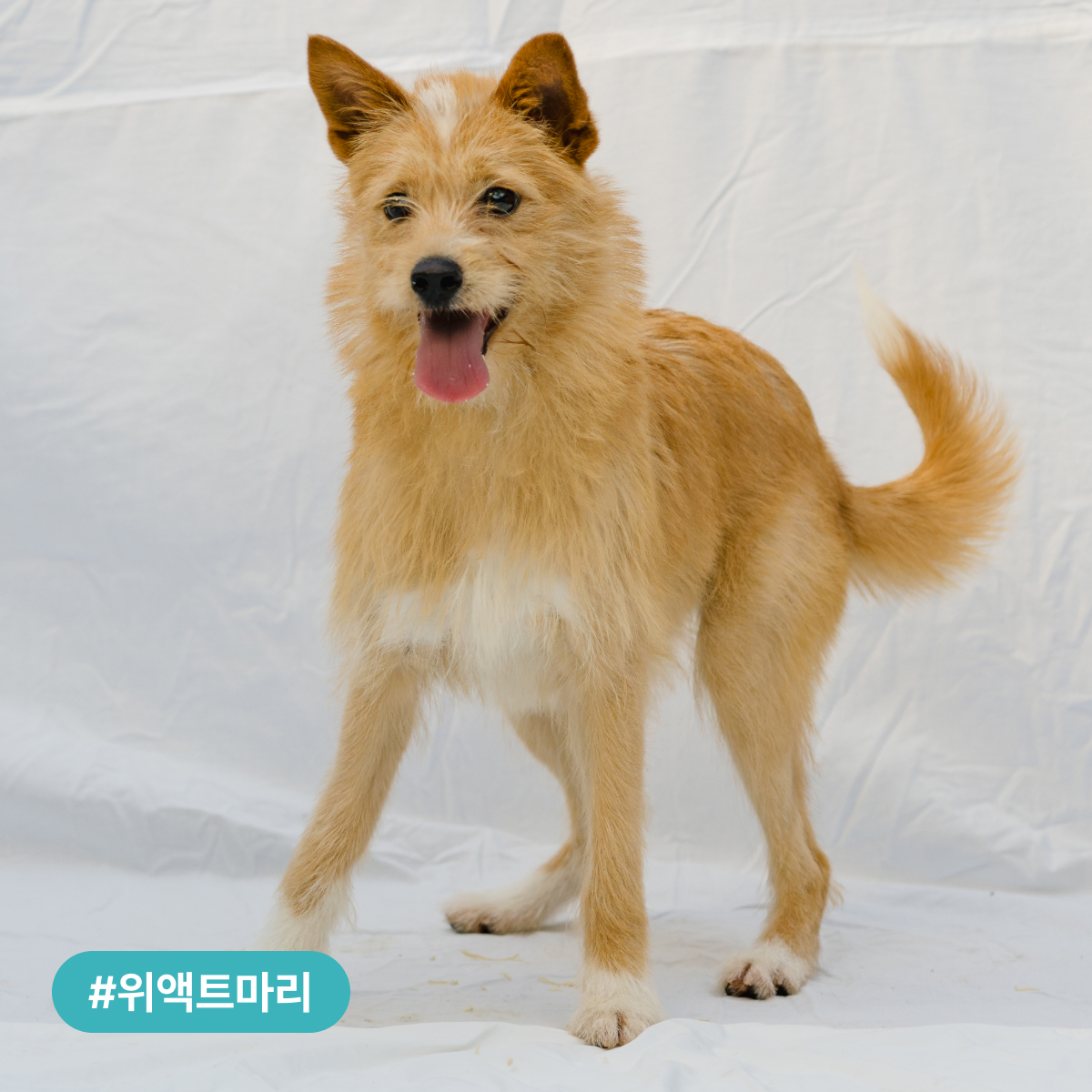 상세 사진 4