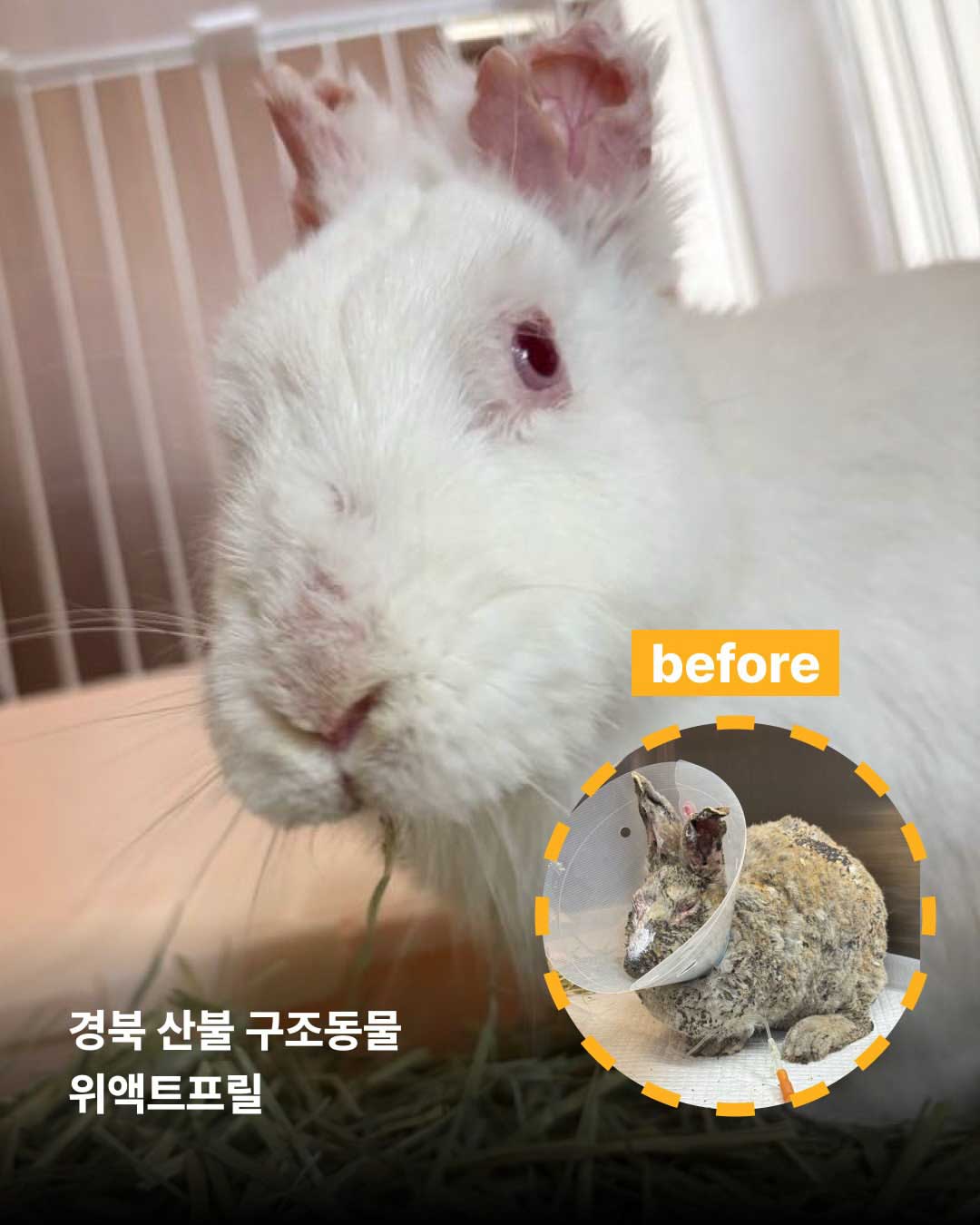 상세 사진 5