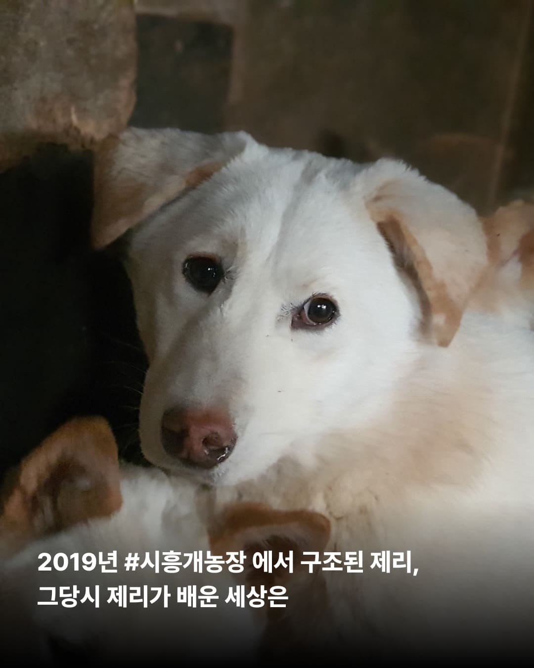 상세 사진 3