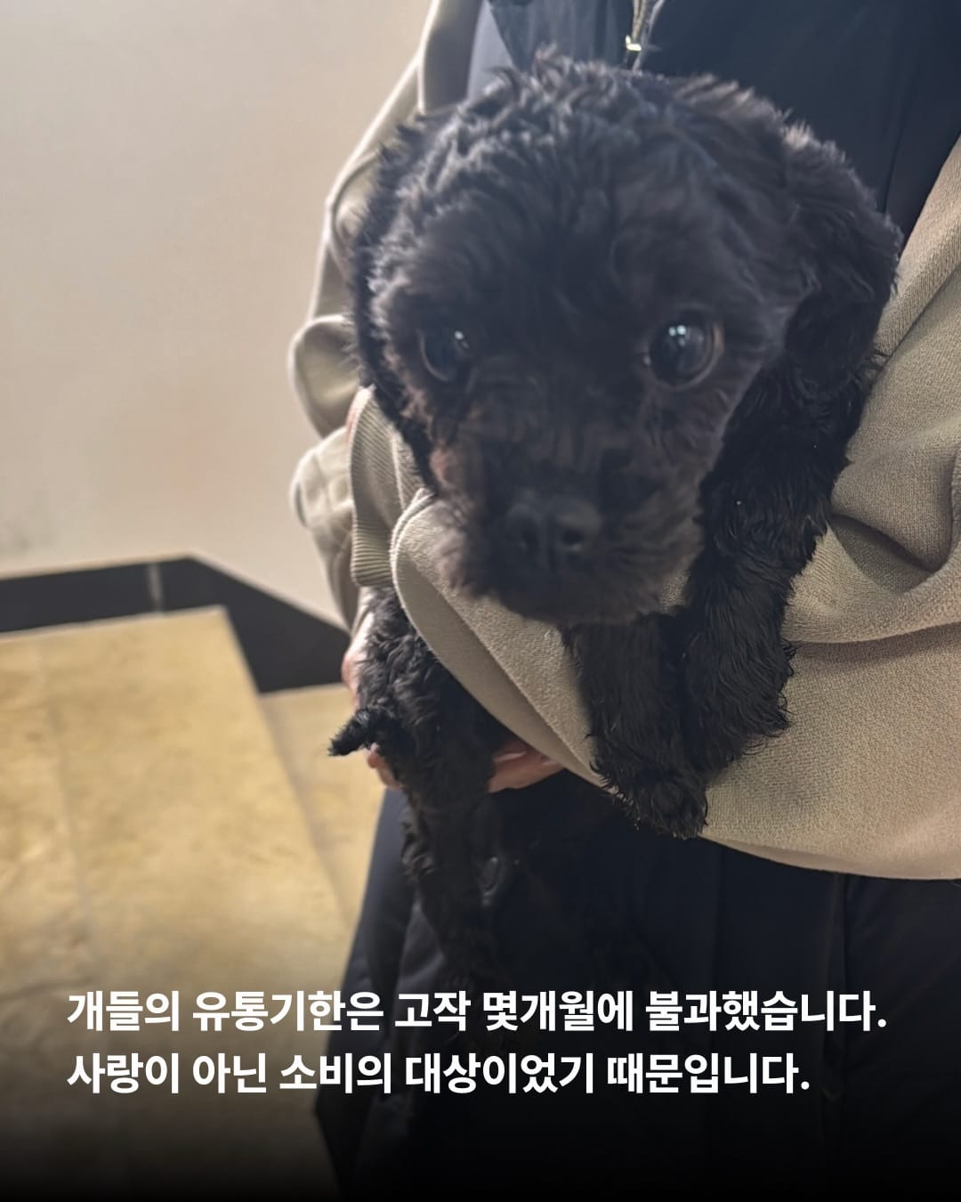 상세 사진 5