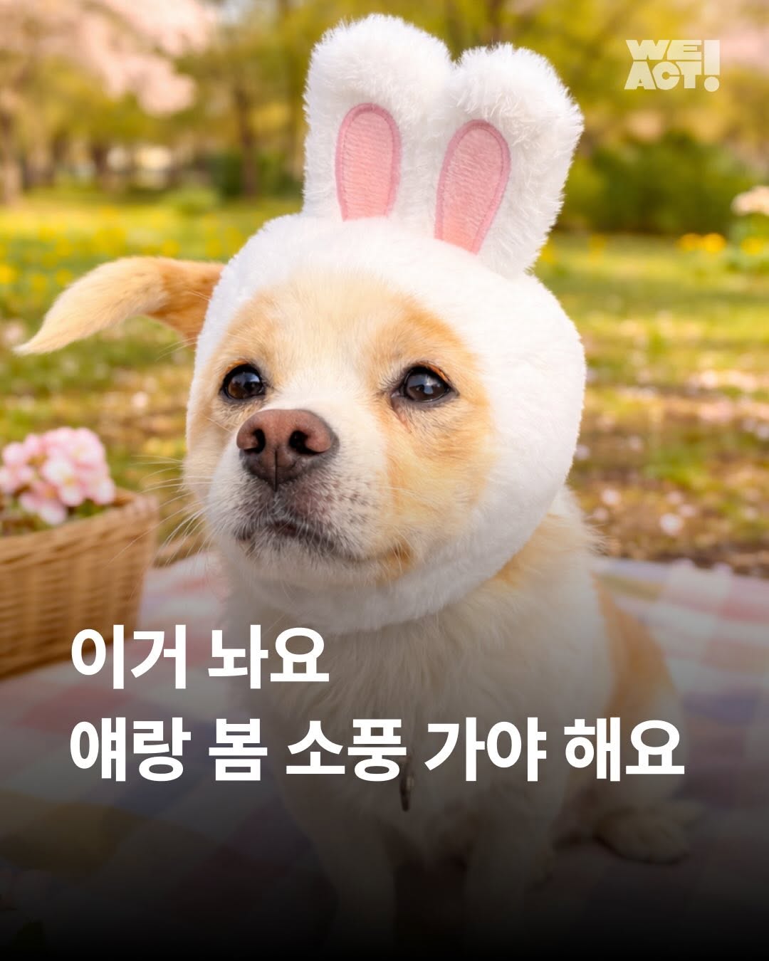 상세 사진 1