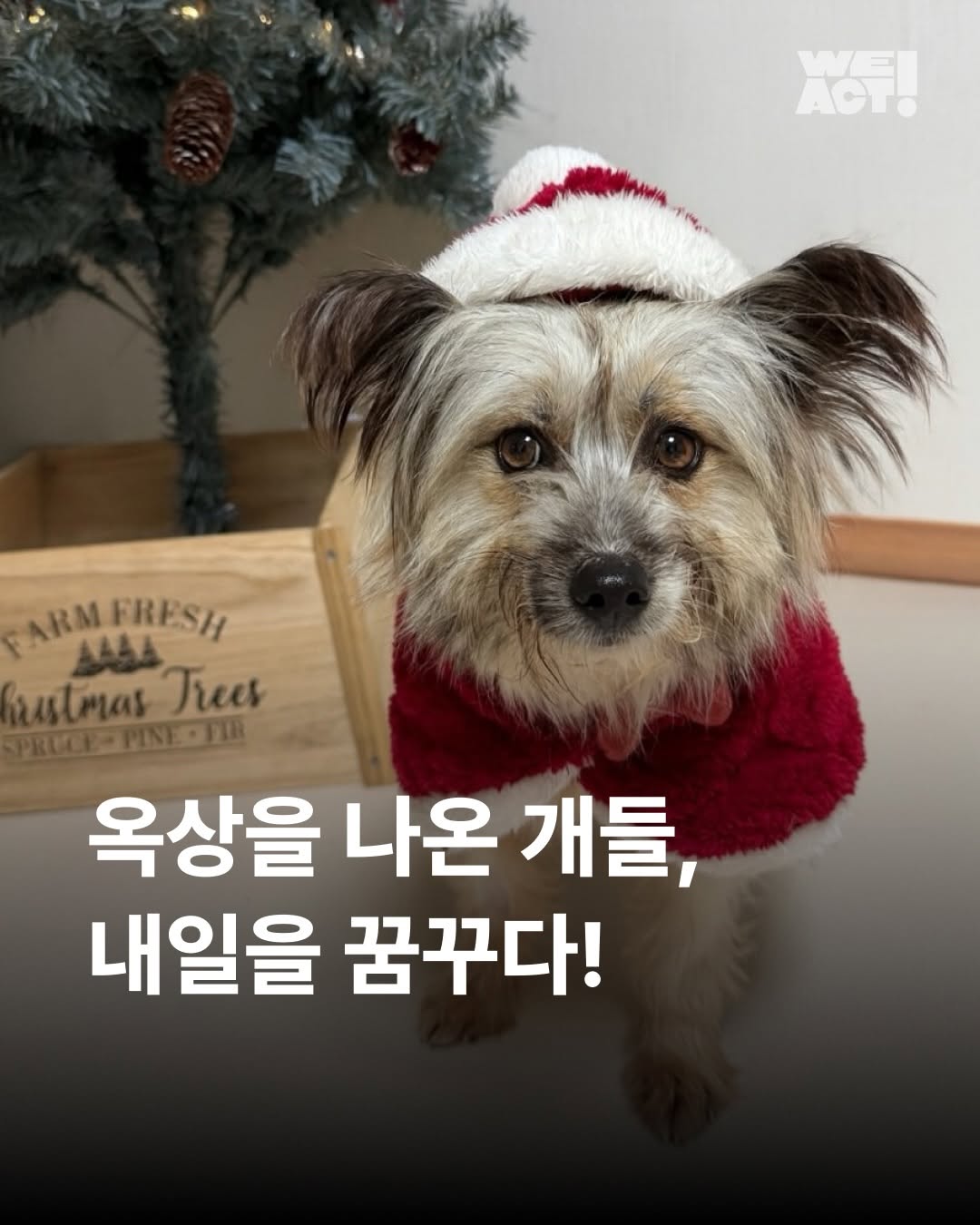 상세 사진 1