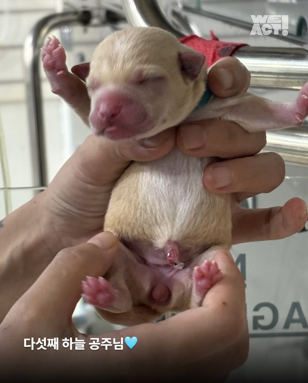 상세 사진 5