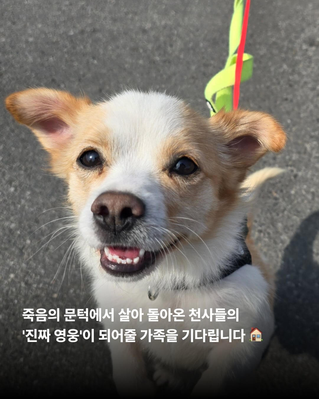 상세 사진 6