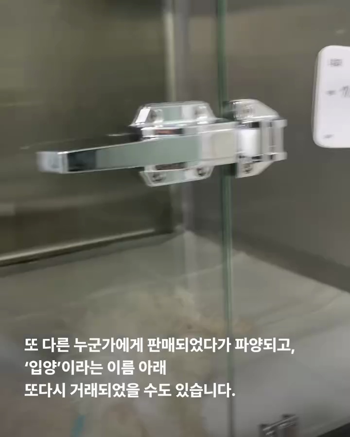 상세 사진 13