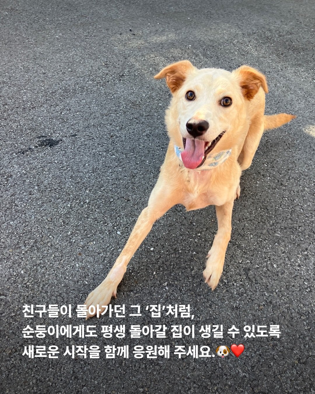 상세 사진 9