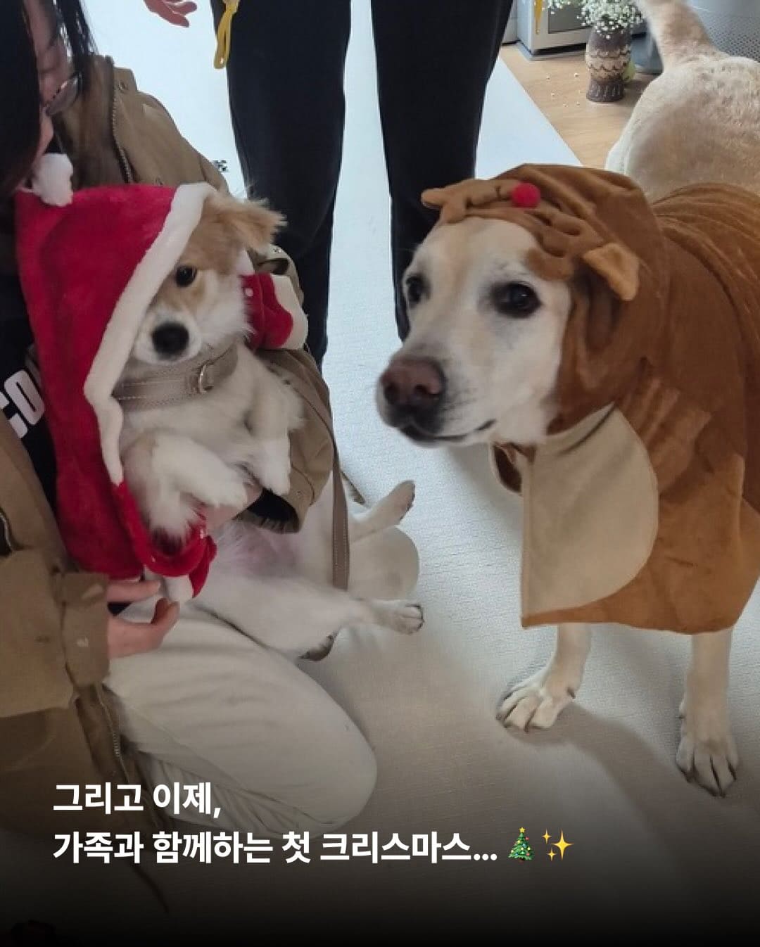 상세 사진 11