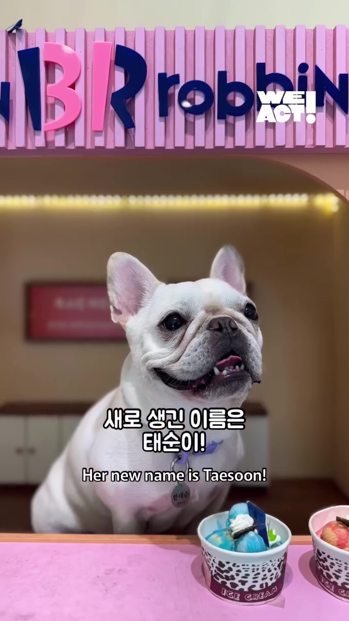 상세 사진 10