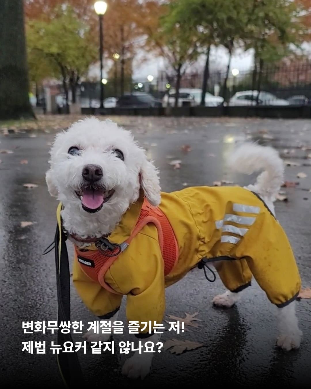 상세 사진 8