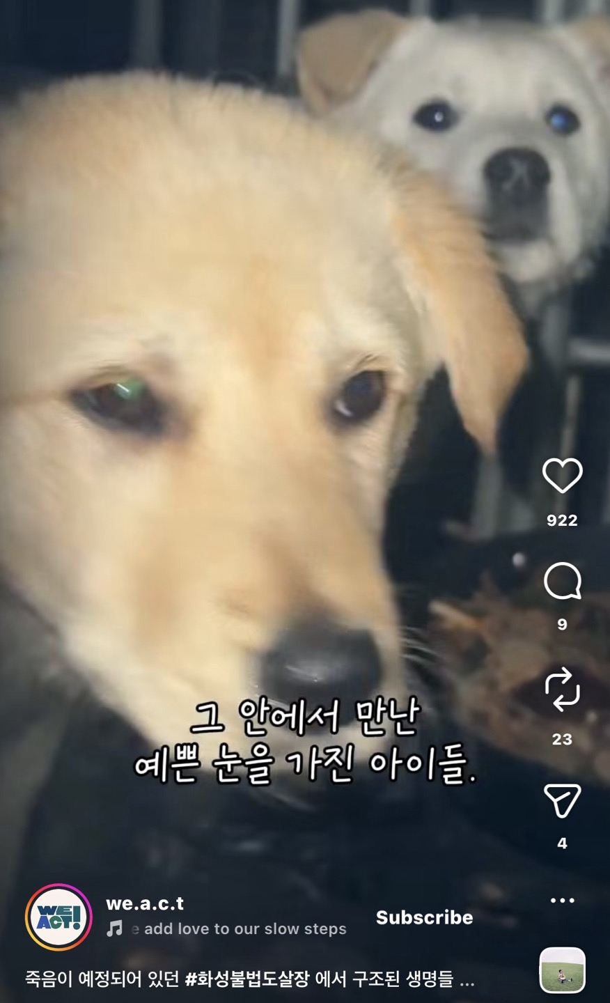 상세 사진 3