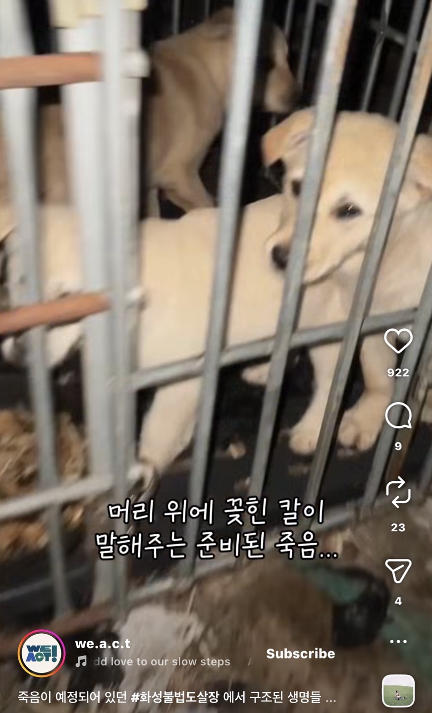 상세 사진 2