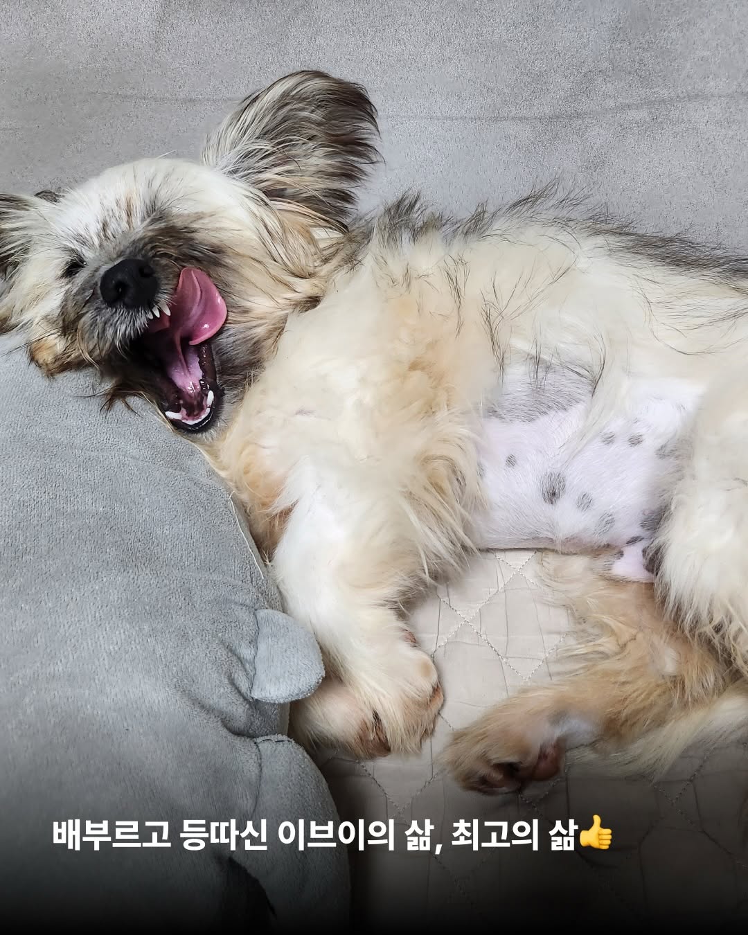 상세 사진 9