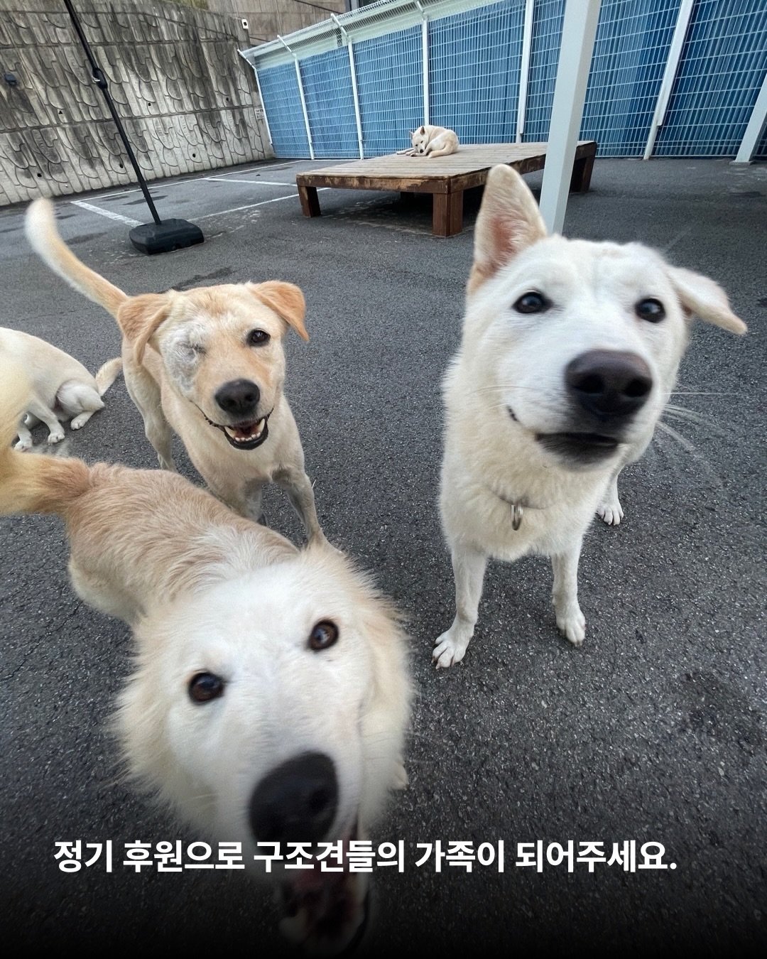 상세 사진 11