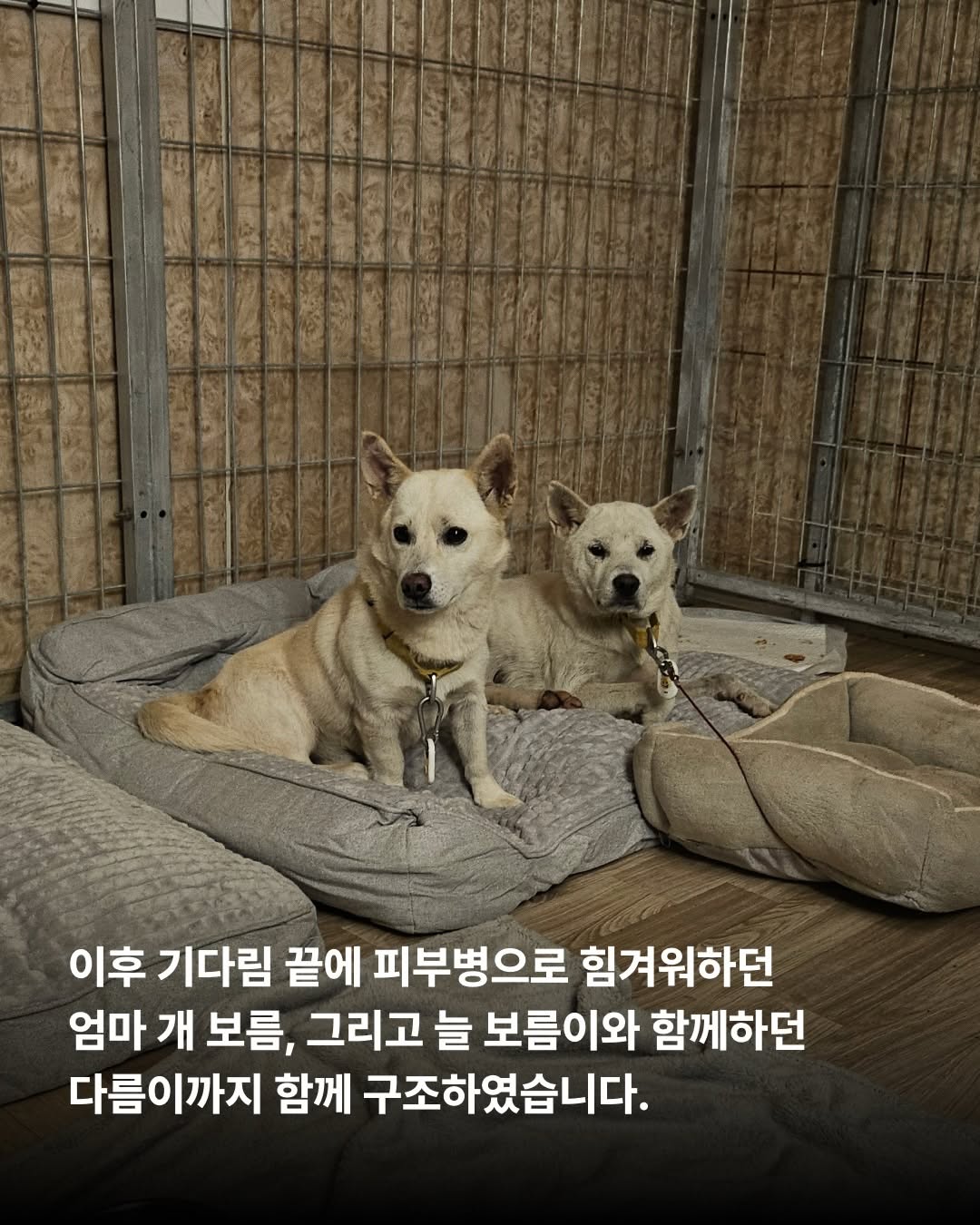 상세 사진 6