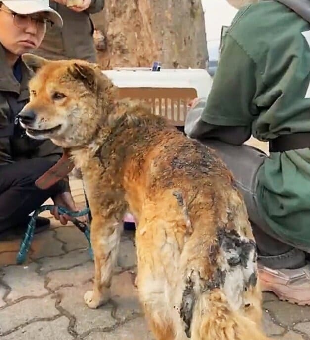 상세 사진 2