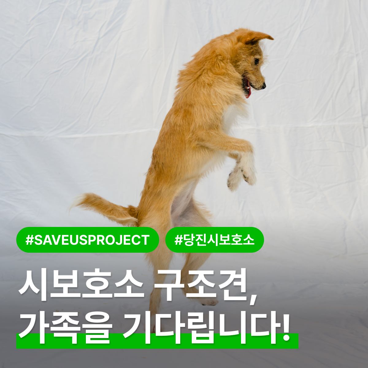 상세 사진 1