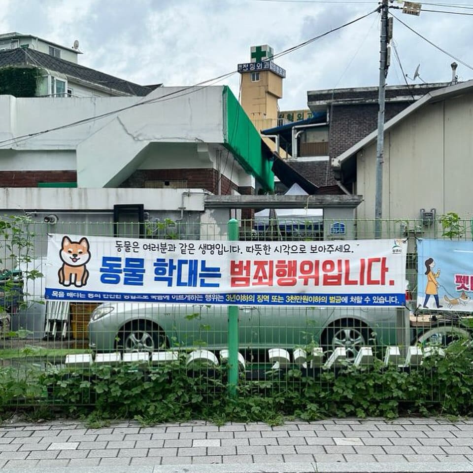 상세 사진 2