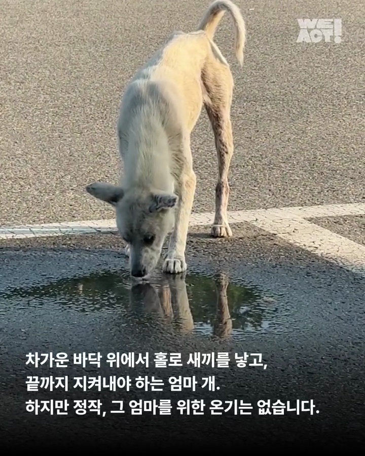 상세 사진 4
