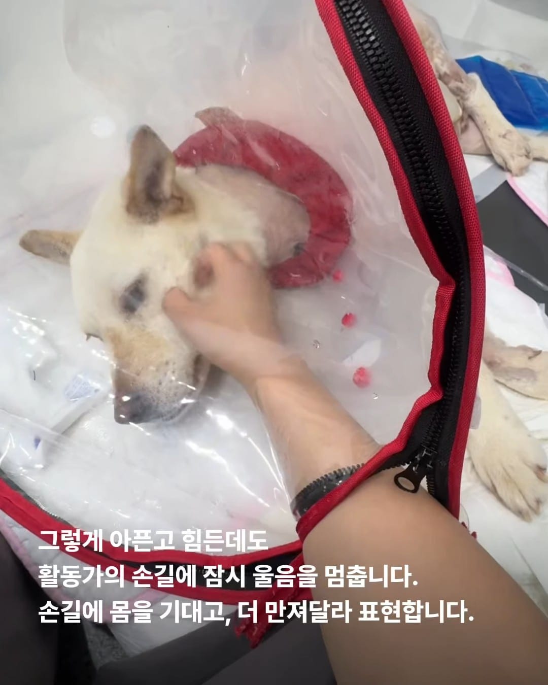 상세 사진 4