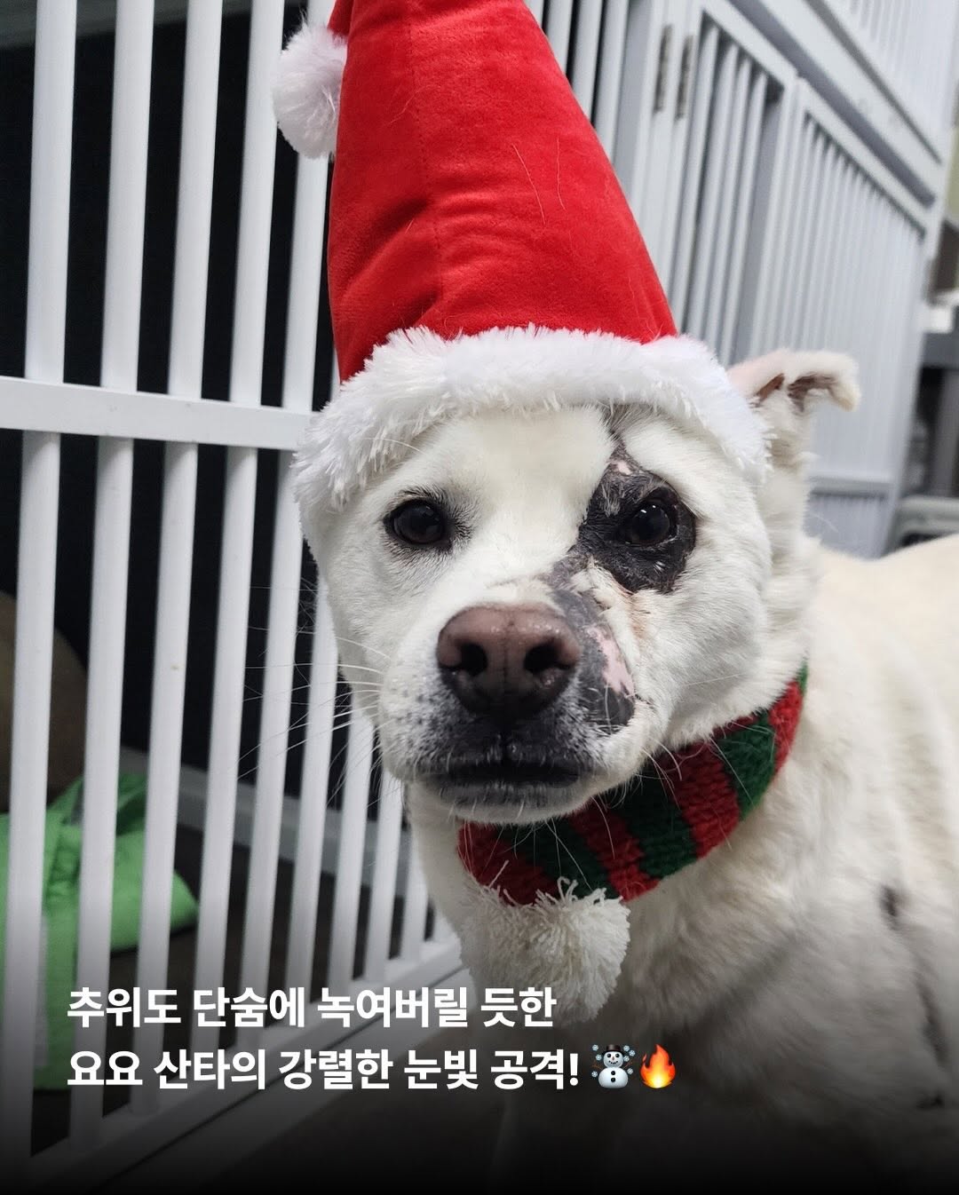 상세 사진 4