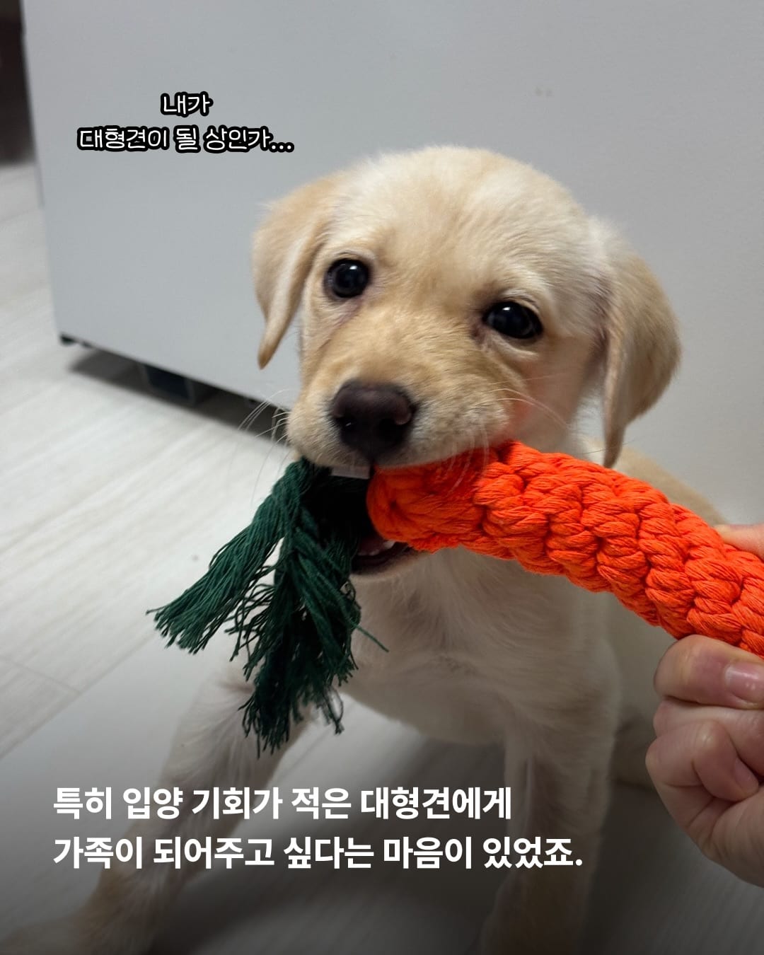 상세 사진 6